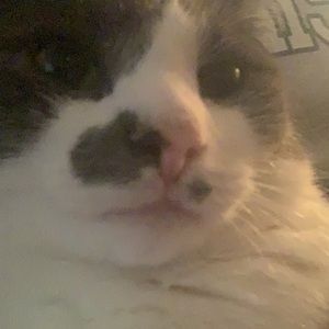 Meet your Posher, Dasha